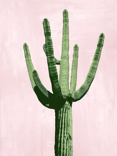 Cactus on Pink III