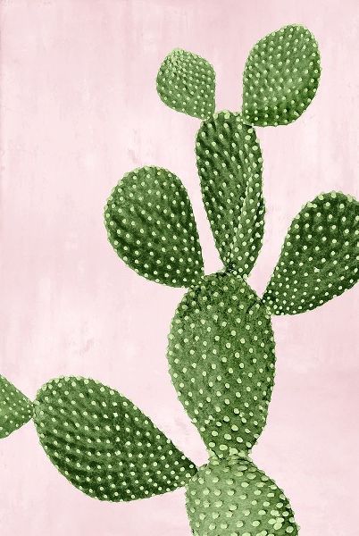 Cactus on Pink VI