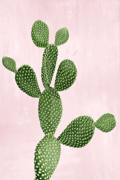 Cactus on Pink VII