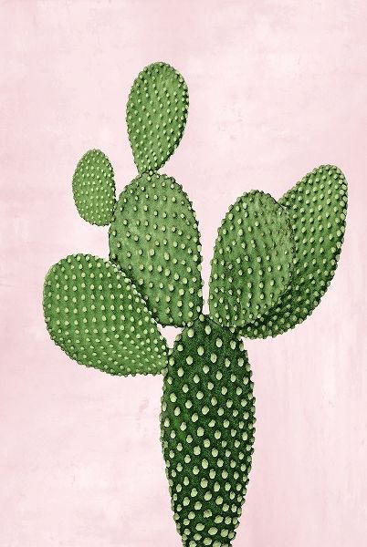 Cactus on Pink VIII