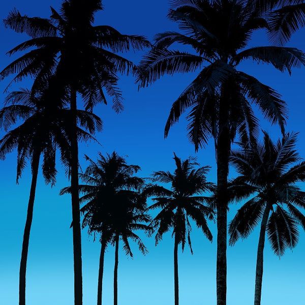 Palms Black on Blue I