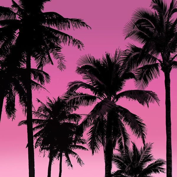 Palms Black on Pink II