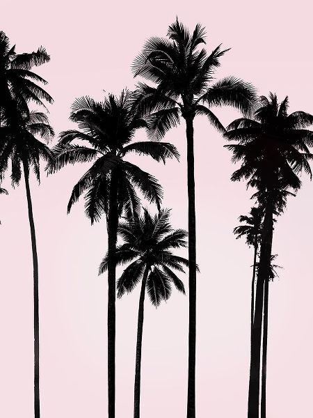 Tall Palms Black on Pink I