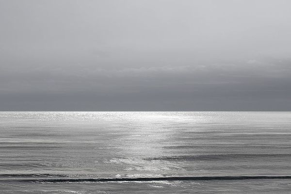 Olsen, Maggie 아티스트의 Moonlit Ocean Gray I작품입니다.