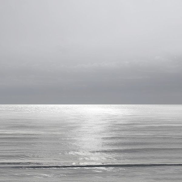 Olsen, Maggie 아티스트의 Moonlit Ocean Gray II작품입니다.