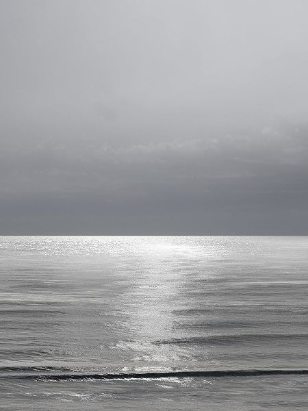 Olsen, Maggie 아티스트의 Moonlit Ocean Gray III작품입니다.