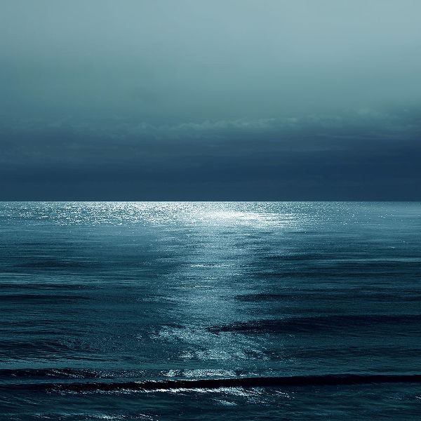 Olsen, Maggie 아티스트의 Moonlit Ocean Teal II작품입니다.