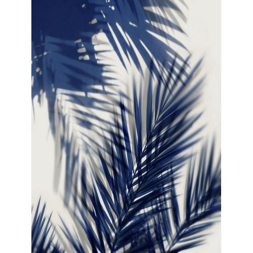 Palm Shadows Blue II