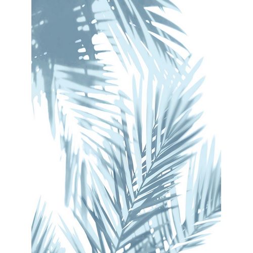 Palm Shadows Aqua II