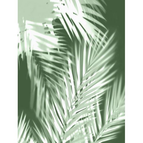 Palm Shadows Green II