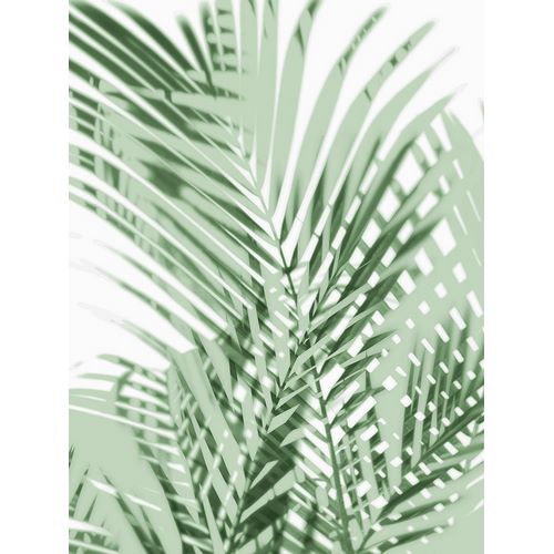 Palm Shadows Green III