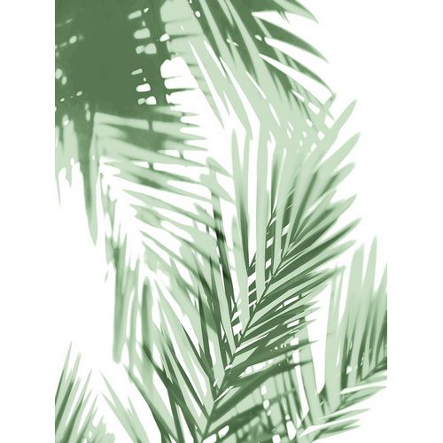 Palm Shadows Green IV