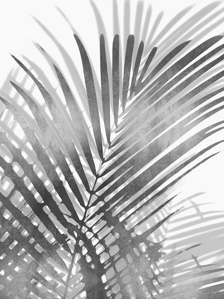 Palm Shadows I