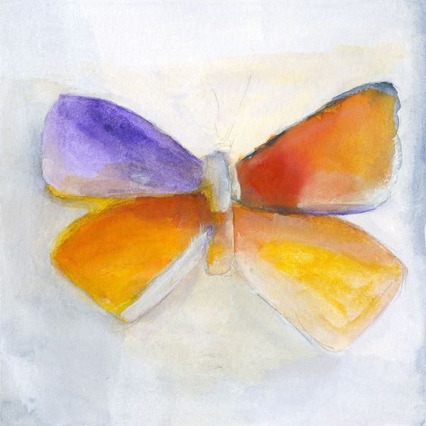 Butterfly IV