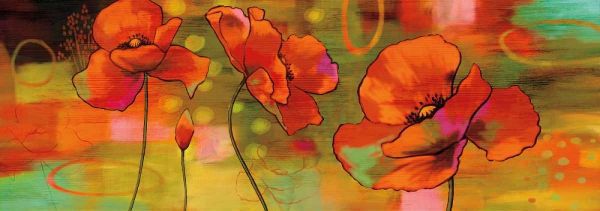 Magical Poppies