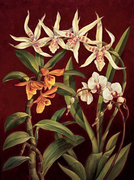 Orchid Trio I