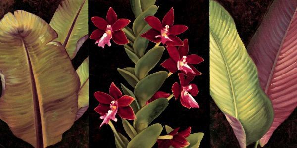 Red Orchids and Palm Leaves