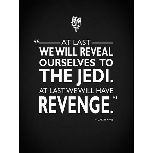 Star Wars Darth Maul Revenge