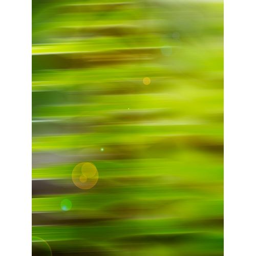 Abstract green flora