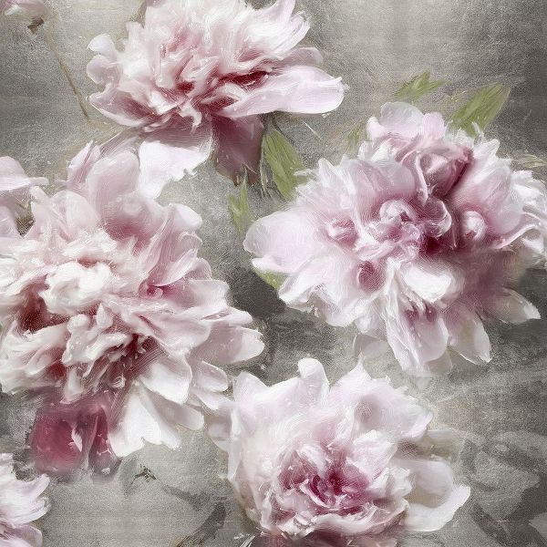 Peonies on Silver I