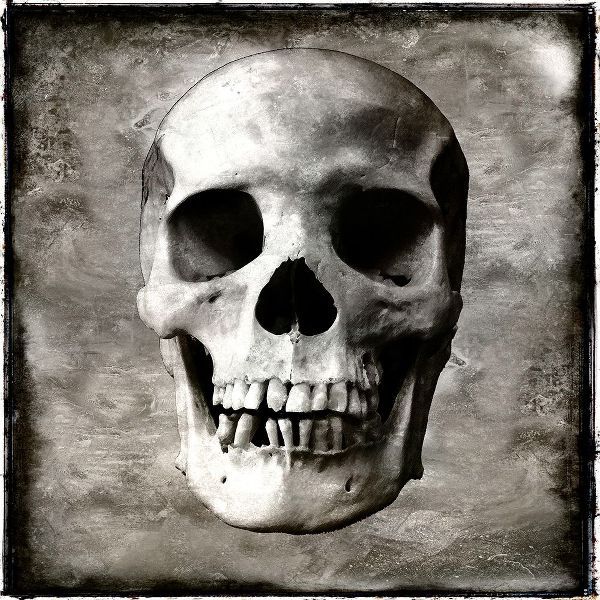 Skull I