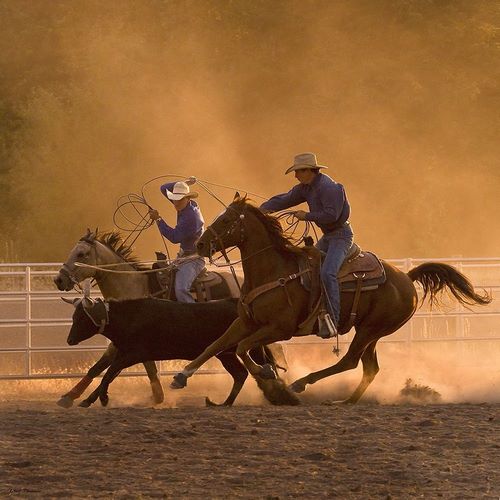 Roping on the Ranch II