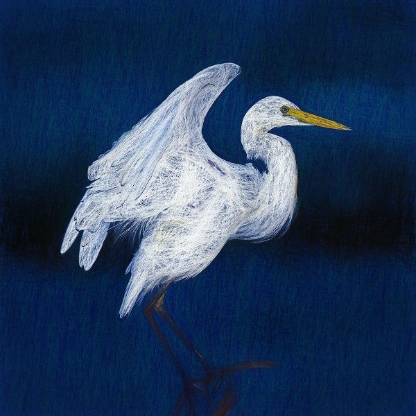White Egret II