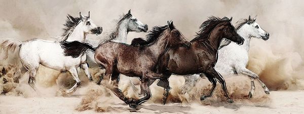 Wild Horses III