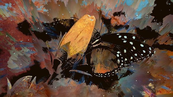 Butterfly On A Rosebud