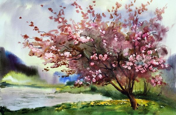 Cherry Blossoms IV