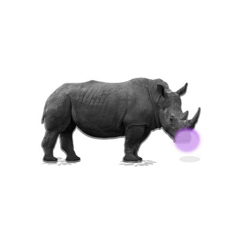 Rhino Bubble