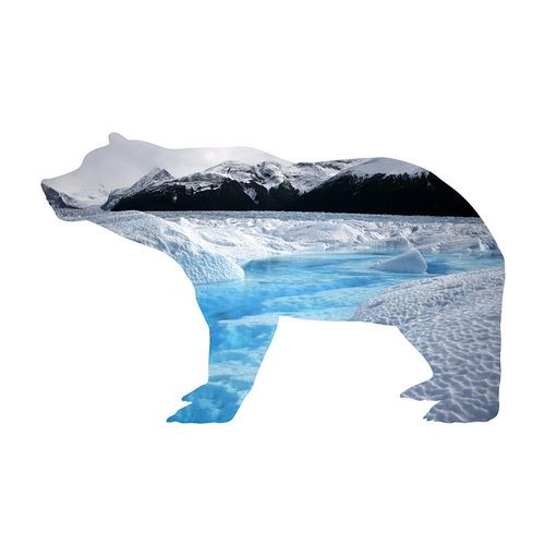 Phillip, Jamie 아티스트의 Polar Bear 2작품입니다.