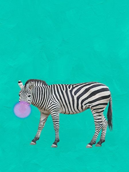 Zebra Bubble