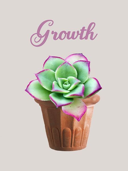 Grow A Little