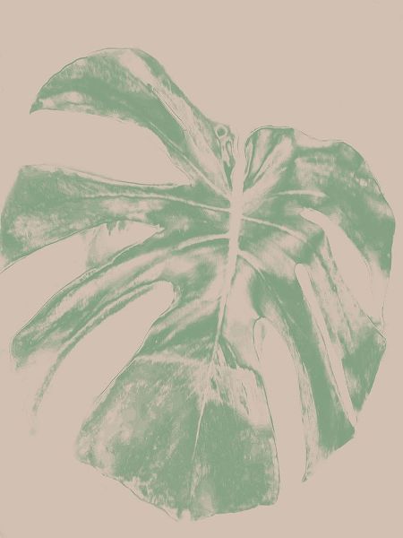 Marquis Palm