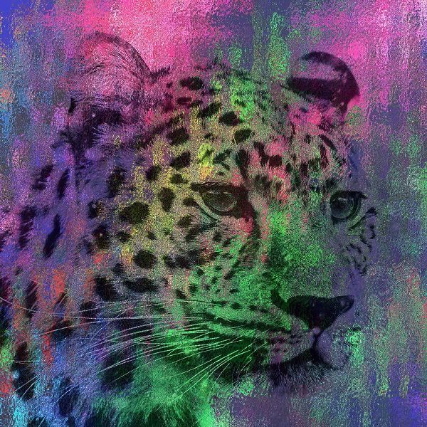 Abstract Lepard
