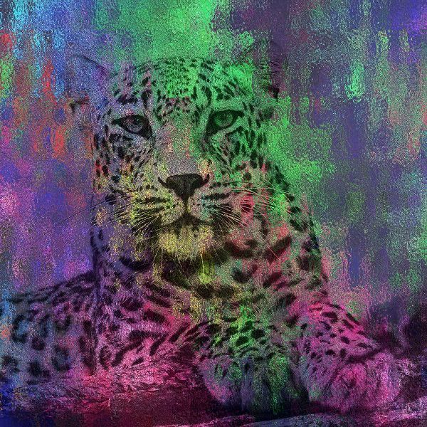 Abstract Lepard 2