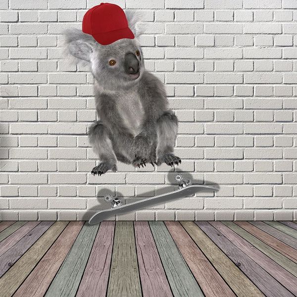 Kick Flip Koala