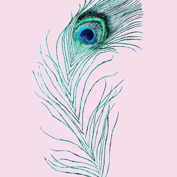 Peacoke Feather 2