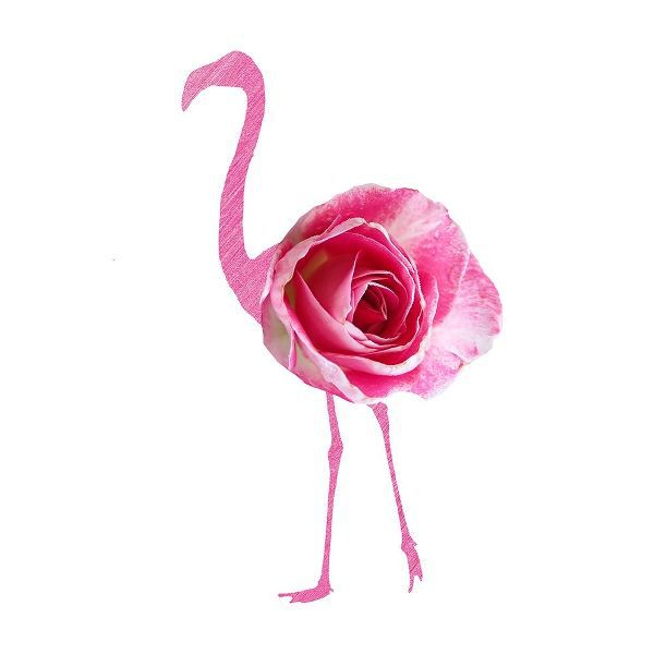Flamingo Dress 2