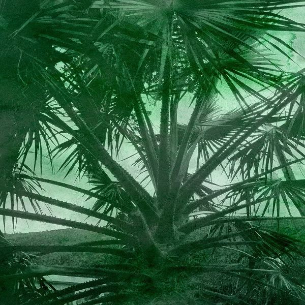 Emerald Palm