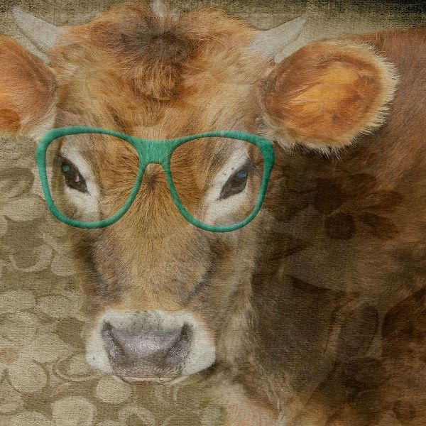 Styley Cow