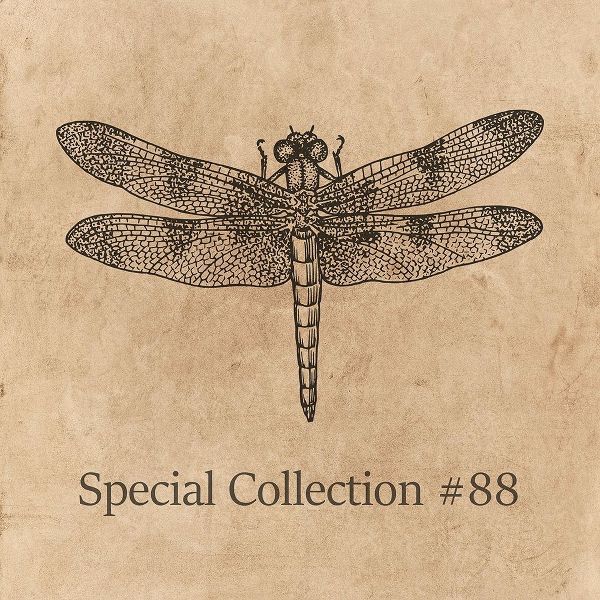 Special Collection 88