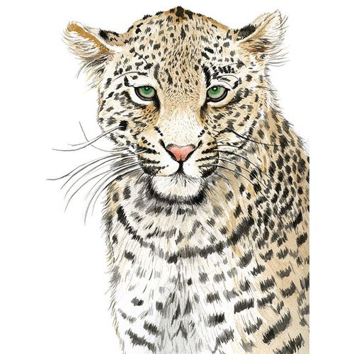 Leopard (Never Changes its Spots)