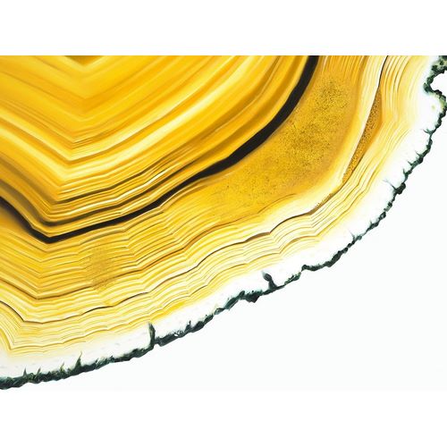 Agate Section