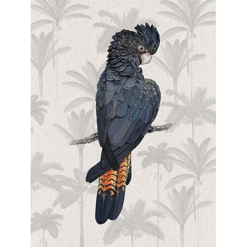 Tropical Cockatoo Poster