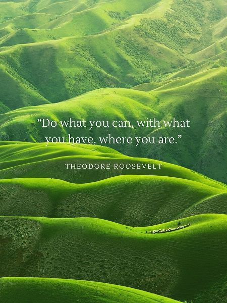 Theodore Roosevelt Quote: Do What You Can