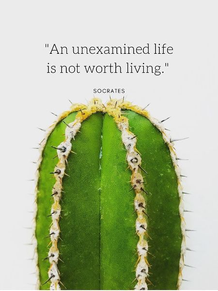 Socrates Quote: Unexamined Life
