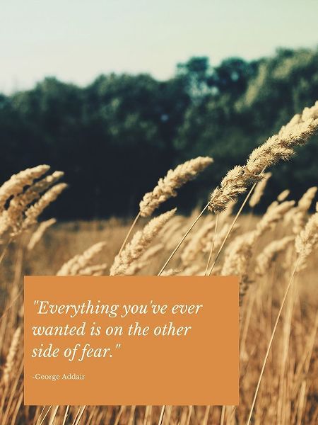George Addair Quote: Other Side of Fear