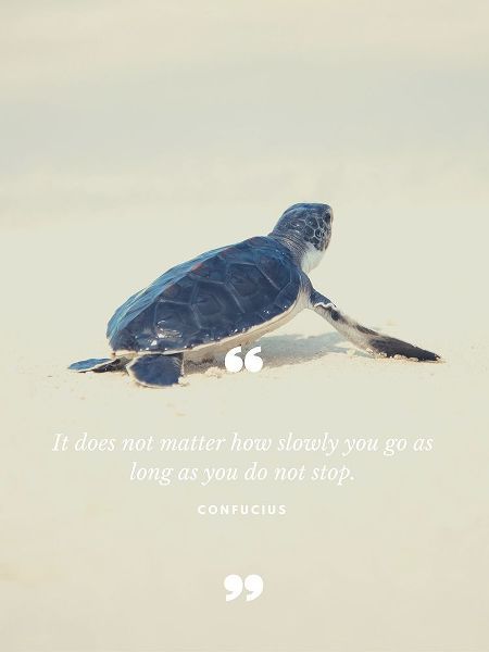 Confucius Quote: Do Not Stop
